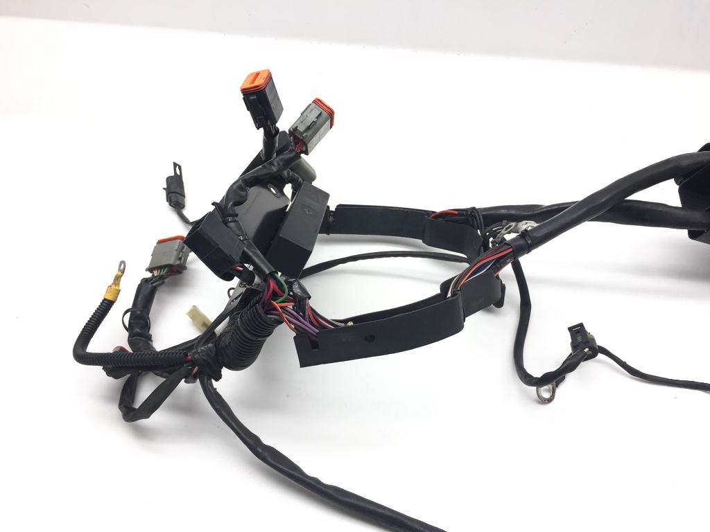 Harley Main Engine Wiring Harness from 2001 Softail Heritage FLSTC | eBay